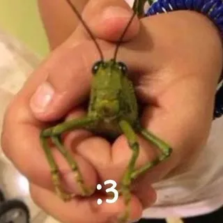 Кеее