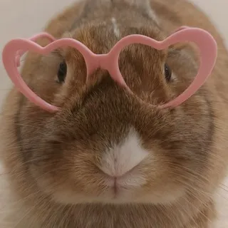 Блог Черри 🧡🍒