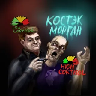 Каморка Костэка