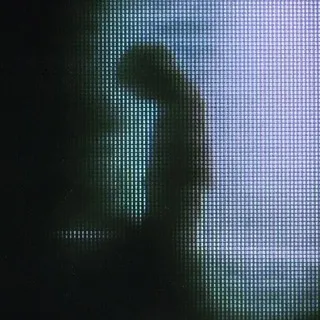 insofaze loops