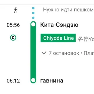 гавнина