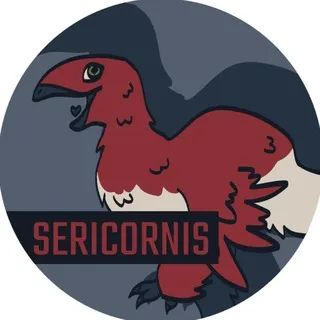 SERIKORNIS | BATJOKES zine | zines & fun