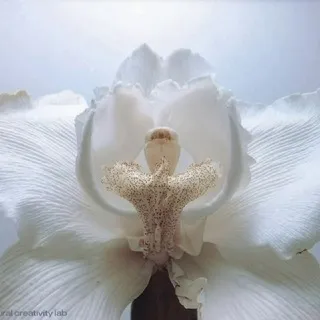 LUV IT. ВАЖНОЕ