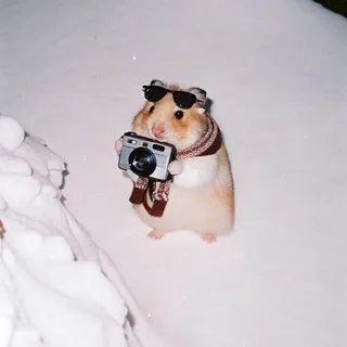Lumière 📸