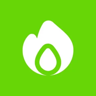 GREENLIGHT : чат