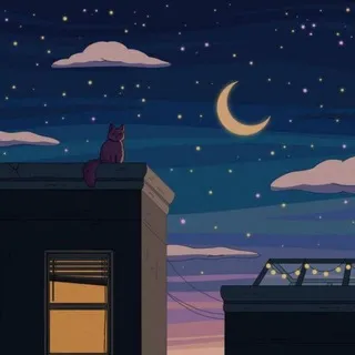 Lmeow Chat