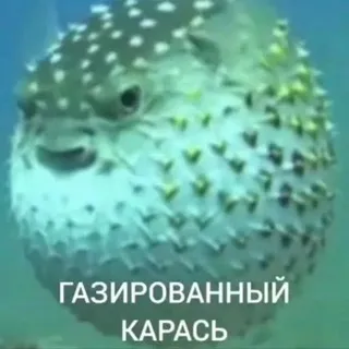 творческий мэджик