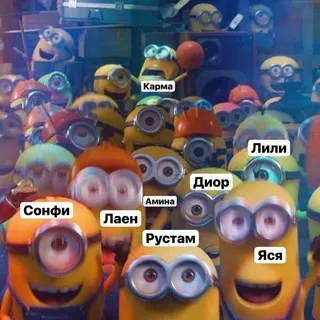 Вайбавые админы Лайф