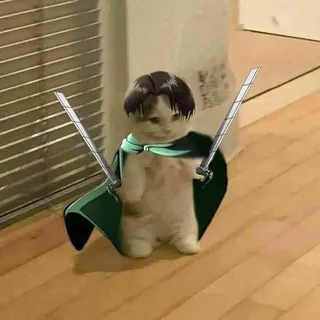 مظ