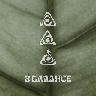 «В БАЛАНСЕ » •люди