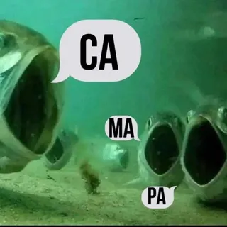Волнения x Чат