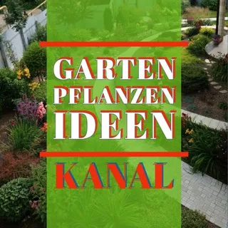 Gartentipps, Pflanzen, Ideen und Hacks 🌱