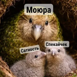 Село зноя молочное