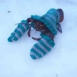 ШЫШКИ И УБОГОСТБ