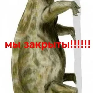 ЗАКРЫТЫ. заперты. 𝖵𝖨𝖳𝖠 ᶫᵒᶰᵗᵃᶰᵃ ⸝⸝ 𝖢𝖧𝖠𝖳