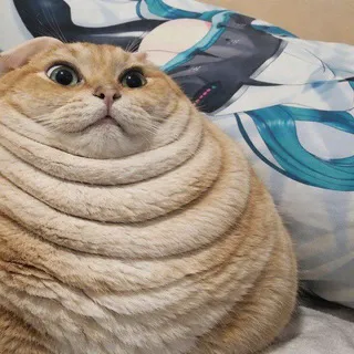 𝗔𝗿𝗰𝗵𝗶𝗲 𝗖𝗢𝗡𝗙...‹𝟹