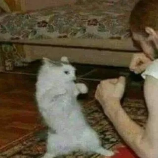 Щп стар