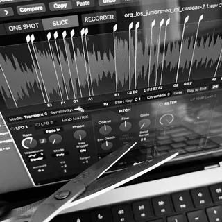 sample room by shaggy puff