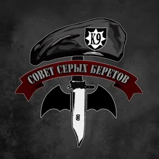 Серые береты России