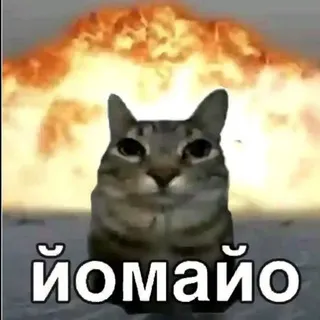 ᴅᴜsᴍᴇᴋɪ🖖