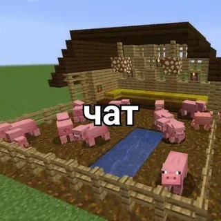 CryptoSvinarnik - ЧАТ 🐷