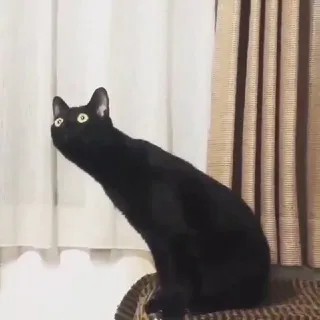 Дарина посмотрела
