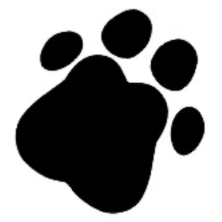 OLU_KIN! 🐾