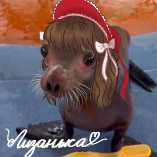 Сосисочный щитпост