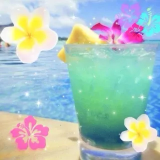 🌺Hawaii & tropicalCore cf🌴
