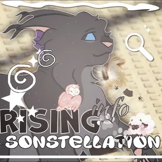 ་ᝰ𝐑𝗂𝗌𝗂𝗇𝗀 𝐒𝗈𝗇𝗌𝗍𝖾𝗅𝗅𝖺𝗍𝗂𝗈𝗇𝗌// 𝐈nfo̫٭