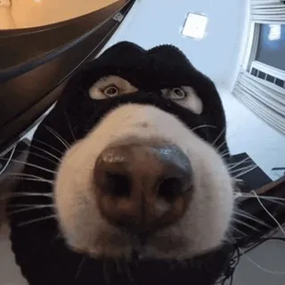 Моя тревожность