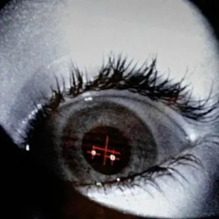 eightvein