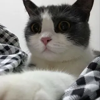 东莞惠州94会所00后海选专场