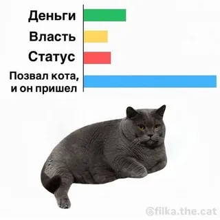 адопты эльзы