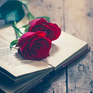 🥀ᴄᴏʀᴀᴢᴏ́ɴ ᴇɴ ʟᴇᴛʀᴀs|•
