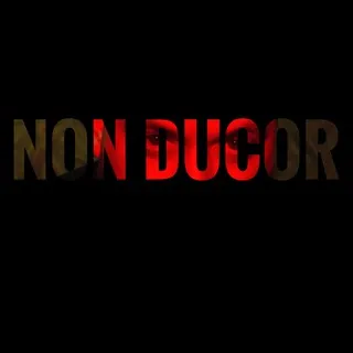NON DUCOR | НОН ДУКОР