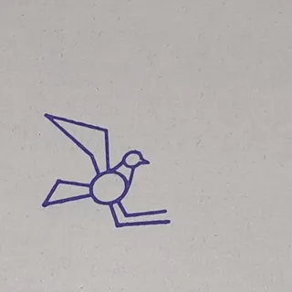 птичьи зины