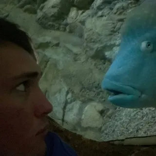 Диалоги о рыбалке🐟