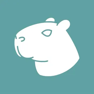 Capybara VPN | Happ | v2RayTun