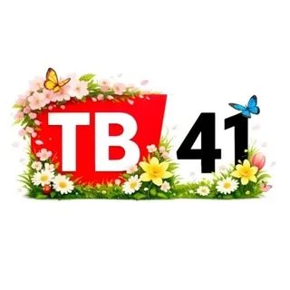 TВ41чат