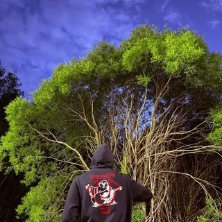 flown