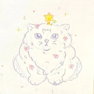 котичковое место
