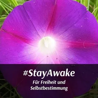 StayAwakeDEChat