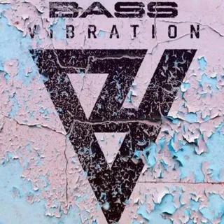BASS VIBRATION чат
