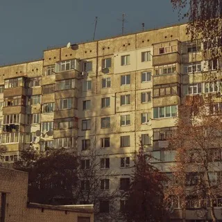 Жуки в янтаре | recz art's