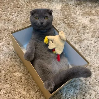 ПРОДАМ РЕКЛАМУ