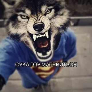 jelagoo