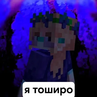 бред тоширы