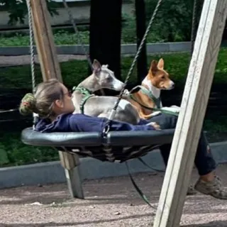 Трое в гамаке