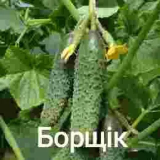 рельсы рельсы...